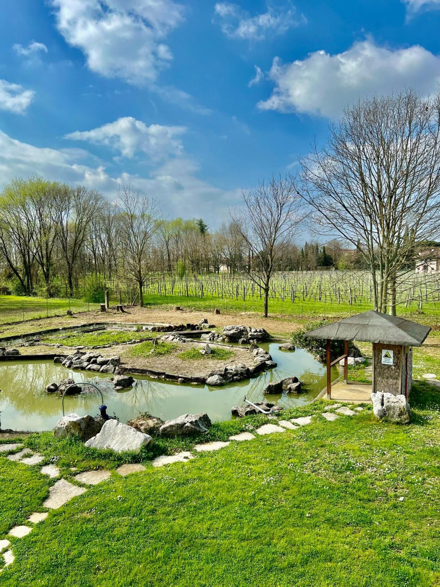 Pavia d'Udine Villa Saten المظهر الخارجي الصورة